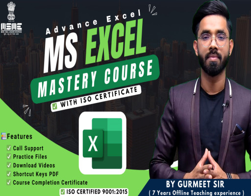 MS Excel Mastery Course